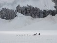 /album/fotogalereya/dsc00891-jpg/